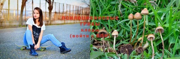 марки nbome Пестово