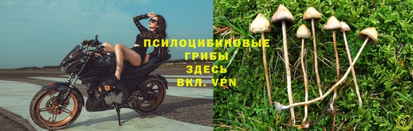 кокс Пересвет