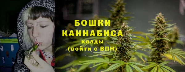 прущие крисы Дубовка