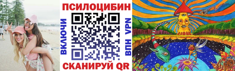 Псилоцибиновые грибы Psilocybine cubensis  Сим 
