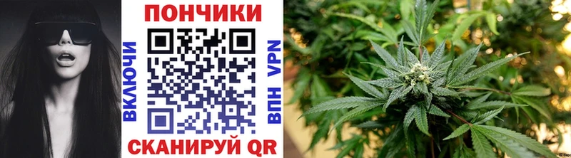 Конопля индика  дарнет шоп  ссылка на мегу сайт  Сим 
